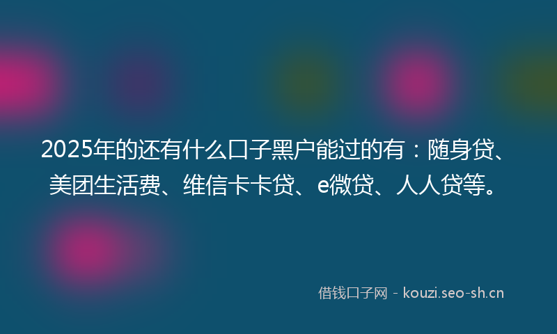 2025年的还有什么口子黑户能过的有：随身贷、美团生活费、维信卡卡贷、e微贷、人人贷等。