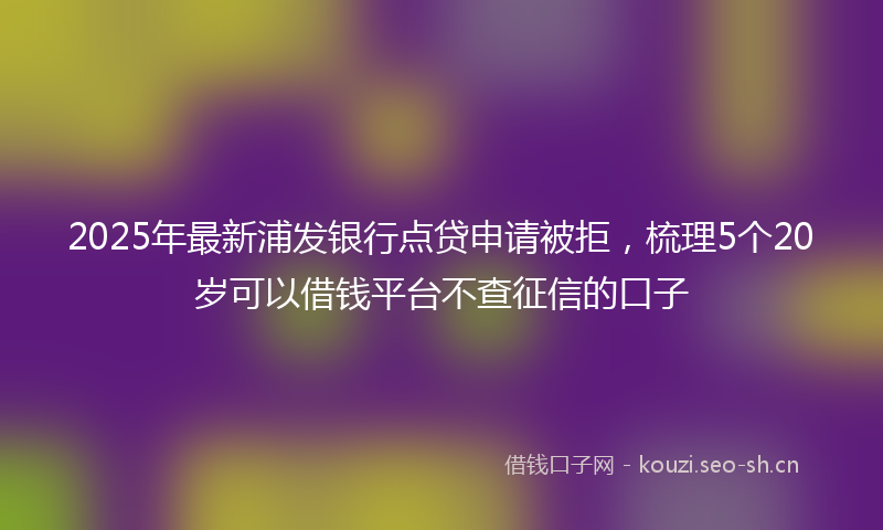 2025年最新浦发银行点贷申请被拒，梳理5个20岁可以借钱平台不查征信的口子