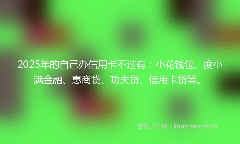 2025年的自己办信用卡不过有：小花钱包、度小满金融、惠商贷、功夫贷、信用卡贷等。