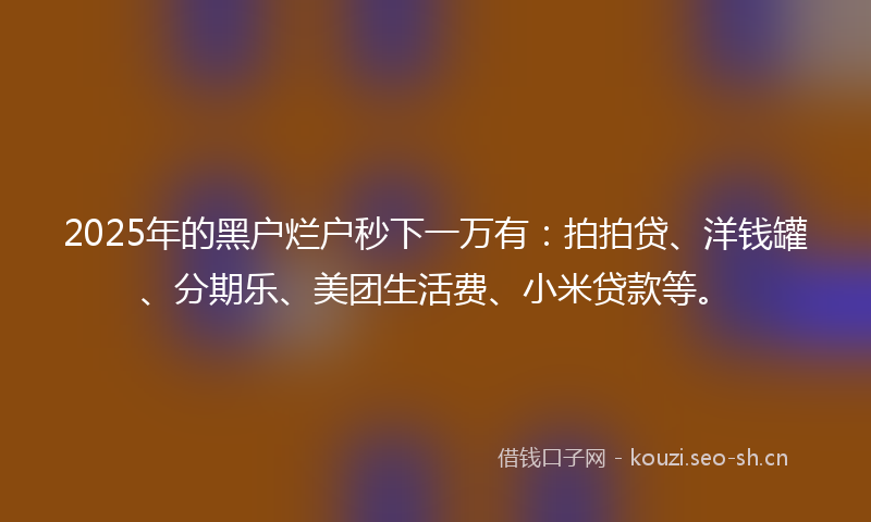 2025年的黑户烂户秒下一万有：拍拍贷、洋钱罐、分期乐、美团生活费、小米贷款等。
