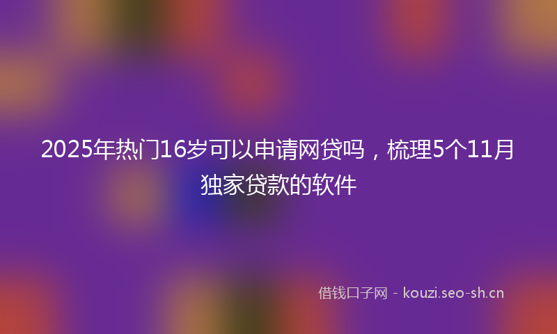 2025年热门16岁可以申请网贷吗，梳理5个11月独家贷款的软件