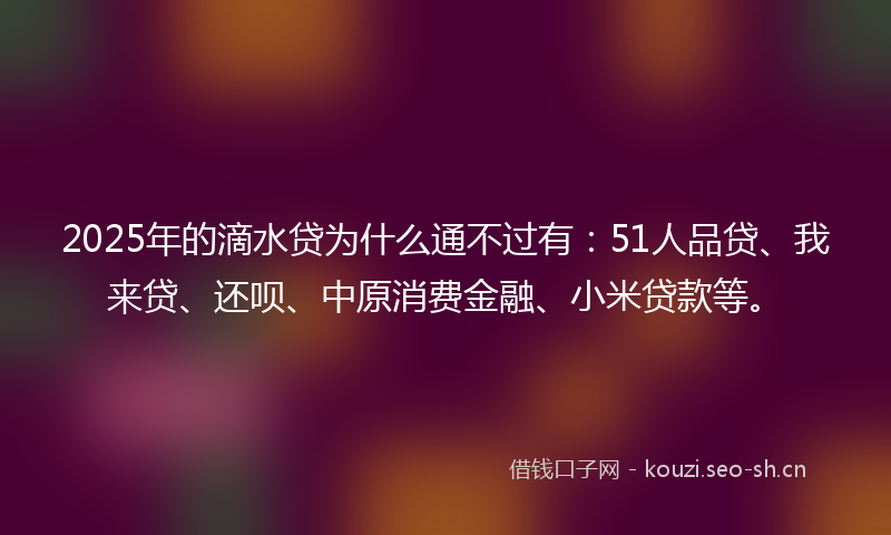 2025年的滴水贷为什么通不过有：51人品贷、我来贷、还呗、中原消费金融、小米贷款等。