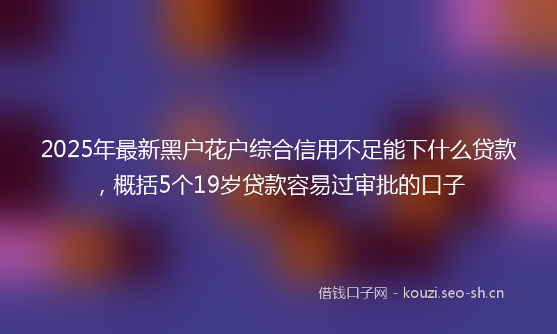 2025年最新黑户花户综合信用不足能下什么贷款，概括5个19岁贷款容易过审批的口子