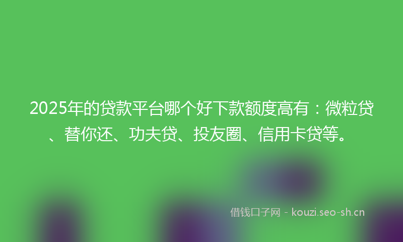 2025年的贷款平台哪个好下款额度高有：微粒贷、替你还、功夫贷、投友圈、信用卡贷等。