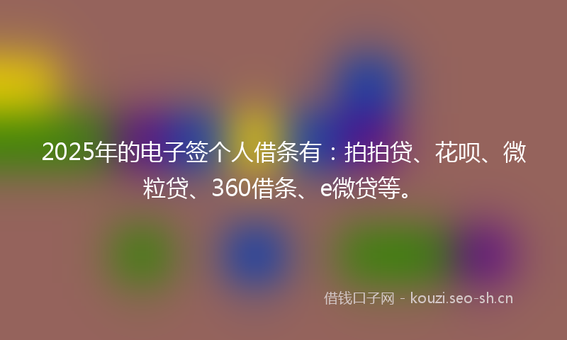 2025年的电子签个人借条有：拍拍贷、花呗、微粒贷、360借条、e微贷等。