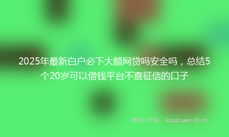 2025年最新白户必下大额网贷吗安全吗，总结5个20岁可以借钱平台不查征信的口子
