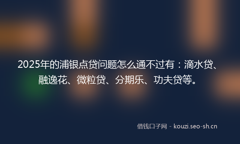 2025年的浦银点贷问题怎么通不过有：滴水贷、融逸花、微粒贷、分期乐、功夫贷等。