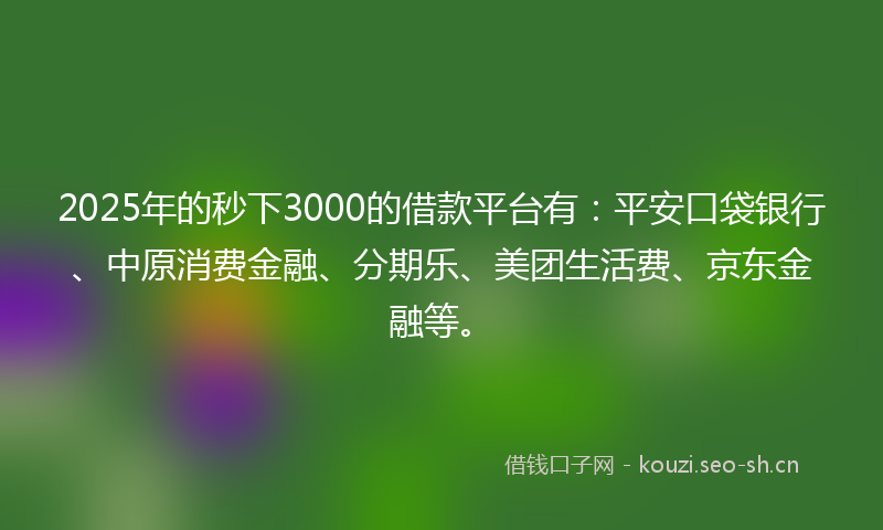 2025年的秒下3000的借款平台有：平安口袋银行、中原消费金融、分期乐、美团生活费、京东金融等。