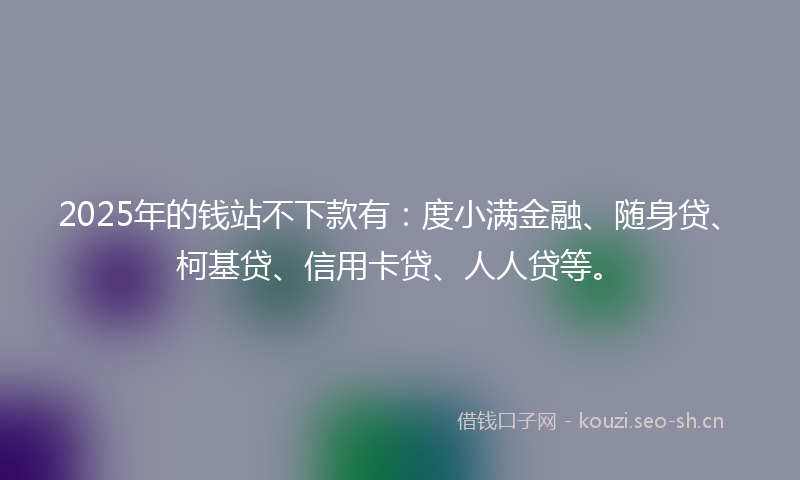 2025年的钱站不下款有：度小满金融、随身贷、柯基贷、信用卡贷、人人贷等。