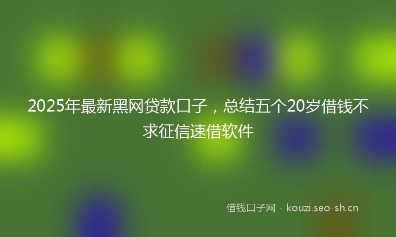 2025年最新黑网贷款口子，总结五个20岁借钱不求征信速借软件