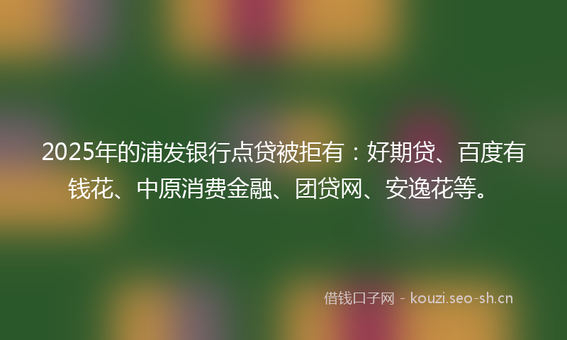 2025年的浦发银行点贷被拒有：好期贷、百度有钱花、中原消费金融、团贷网、安逸花等。