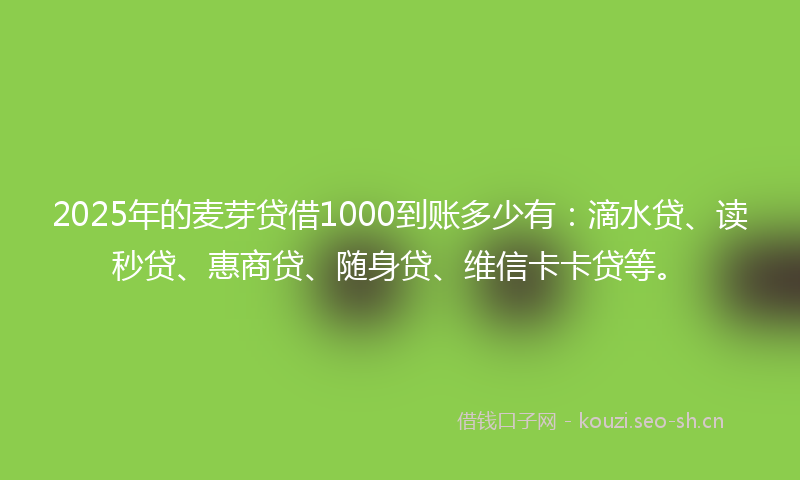 2025年的麦芽贷借1000到账多少有：滴水贷、读秒贷、惠商贷、随身贷、维信卡卡贷等。