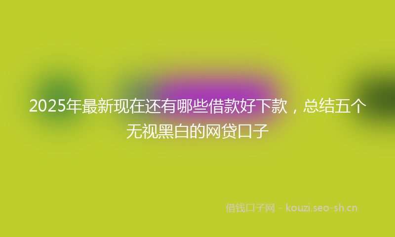2025年最新现在还有哪些借款好下款，总结五个无视黑白的网贷口子