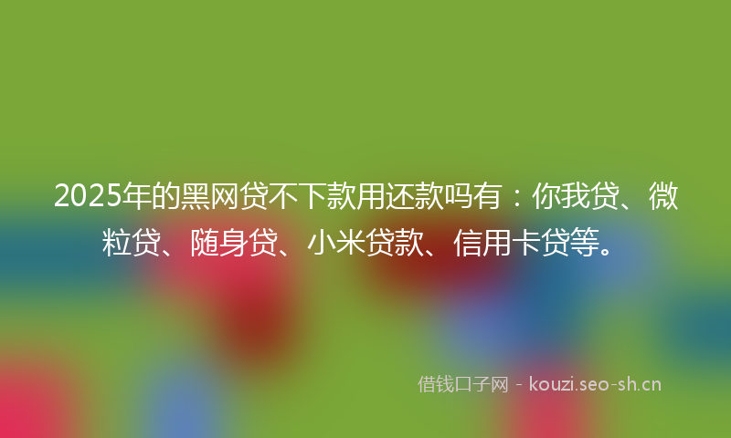 2025年的黑网贷不下款用还款吗有：你我贷、微粒贷、随身贷、小米贷款、信用卡贷等。