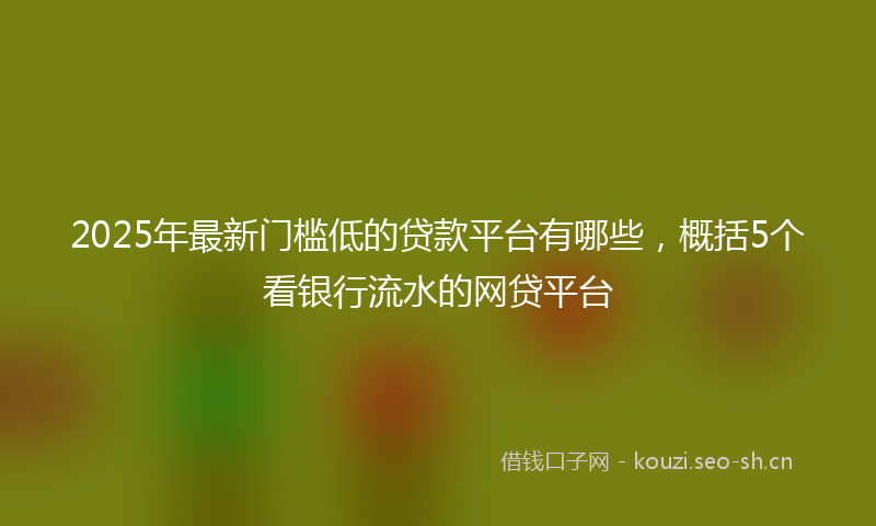 2025年最新门槛低的贷款平台有哪些，概括5个看银行流水的网贷平台