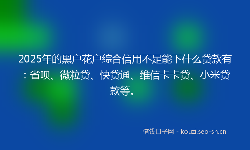 2025年的黑户花户综合信用不足能下什么贷款有：省呗、微粒贷、快贷通、维信卡卡贷、小米贷款等。