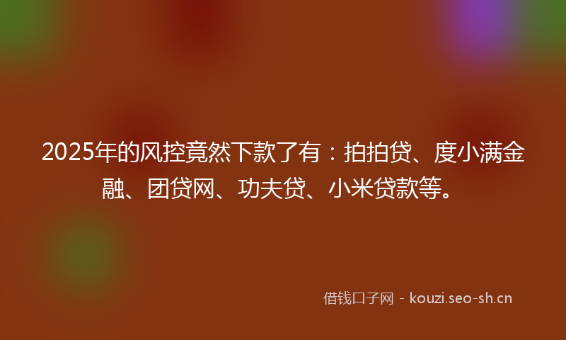 2025年的风控竟然下款了有：拍拍贷、度小满金融、团贷网、功夫贷、小米贷款等。