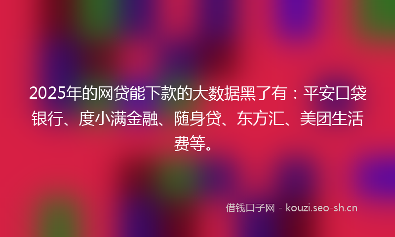 2025年的网贷能下款的大数据黑了有：平安口袋银行、度小满金融、随身贷、东方汇、美团生活费等。