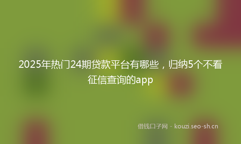 2025年热门24期贷款平台有哪些，归纳5个不看征信查询的app