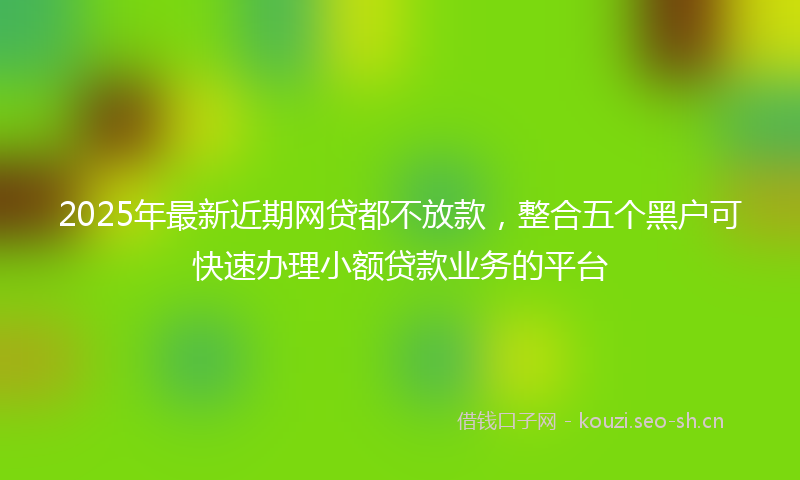 2025年最新近期网贷都不放款，整合五个黑户可快速办理小额贷款业务的平台