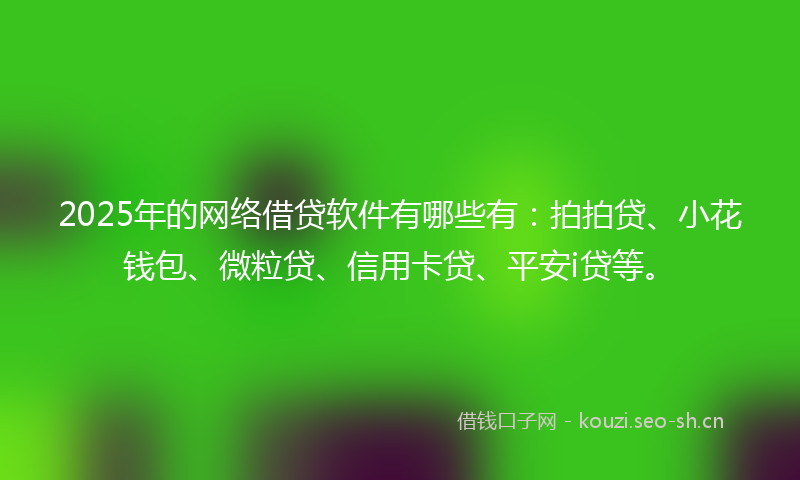 2025年的网络借贷软件有哪些有：拍拍贷、小花钱包、微粒贷、信用卡贷、平安i贷等。