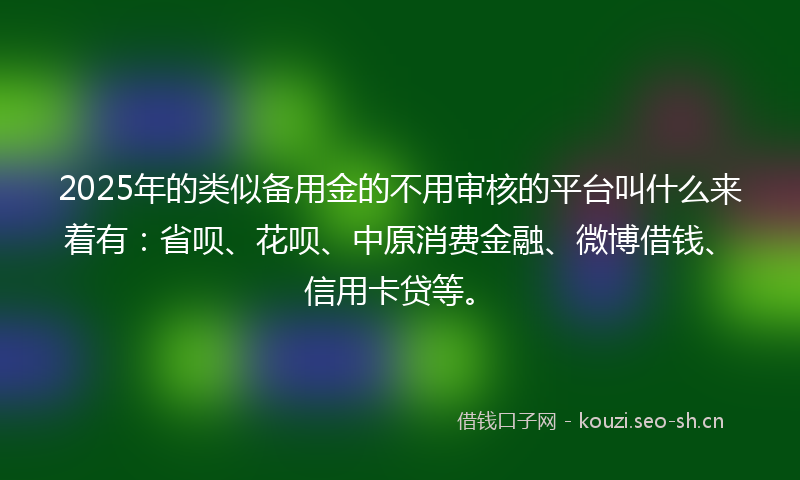 2025年的类似备用金的不用审核的平台叫什么来着有：省呗、花呗、中原消费金融、微博借钱、信用卡贷等。