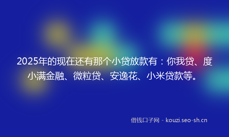 2025年的现在还有那个小贷放款有：你我贷、度小满金融、微粒贷、安逸花、小米贷款等。