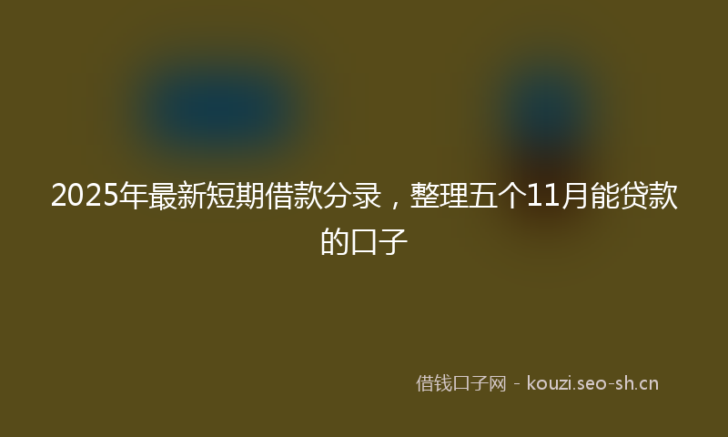 2025年最新短期借款分录，整理五个11月能贷款的口子