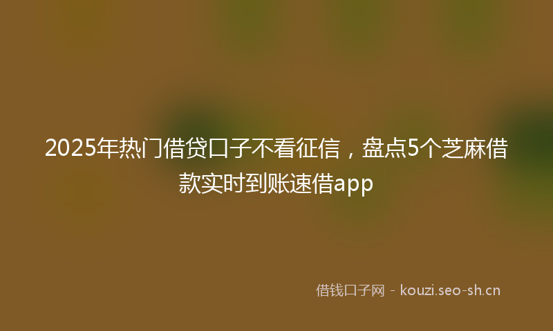 2025年热门借贷口子不看征信，盘点5个芝麻借款实时到账速借app