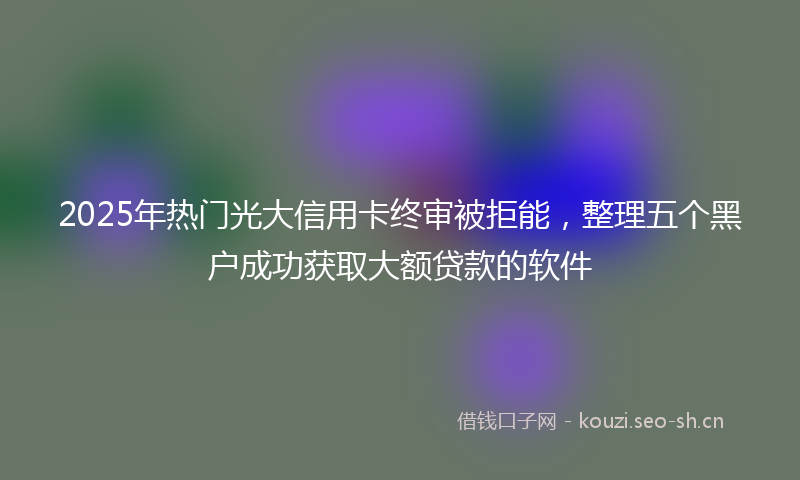 2025年热门光大信用卡终审被拒能，整理五个黑户成功获取大额贷款的软件