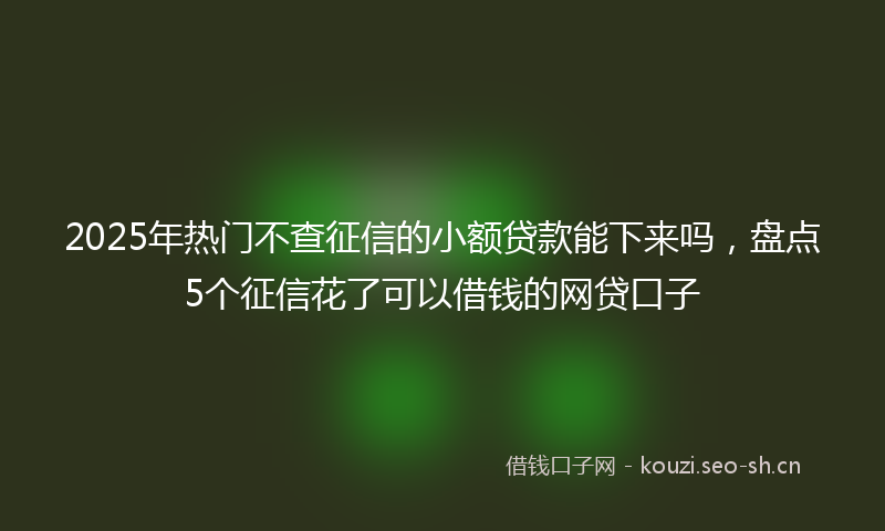 2025年热门不查征信的小额贷款能下来吗，盘点5个征信花了可以借钱的网贷口子