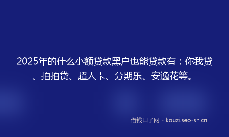 2025年的什么小额贷款黑户也能贷款有：你我贷、拍拍贷、超人卡、分期乐、安逸花等。