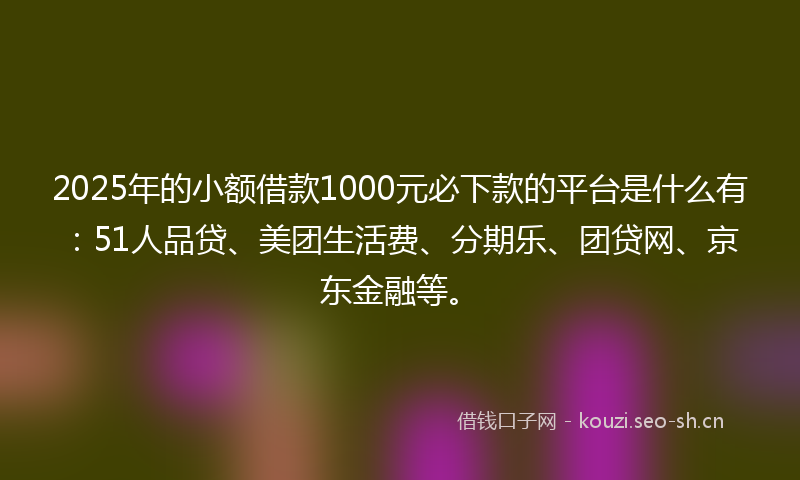 2025年的小额借款1000元必下款的平台是什么有：51人品贷、美团生活费、分期乐、团贷网、京东金融等。