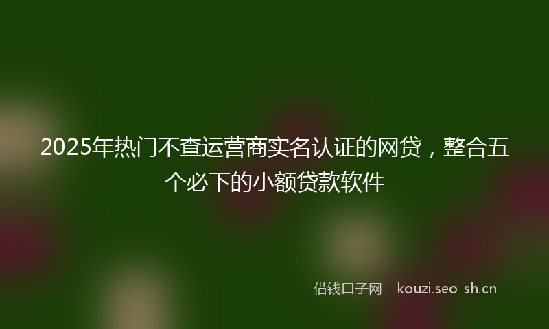 2025年热门不查运营商实名认证的网贷，整合五个必下的小额贷款软件