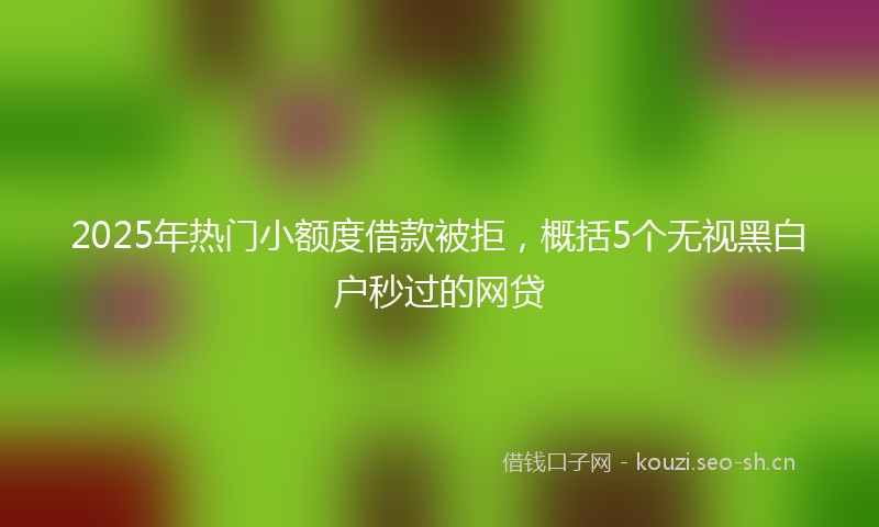 2025年热门小额度借款被拒，概括5个无视黑白户秒过的网贷