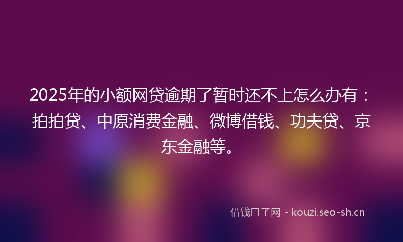 2025年的小额网贷逾期了暂时还不上怎么办有：拍拍贷、中原消费金融、微博借钱、功夫贷、京东金融等。