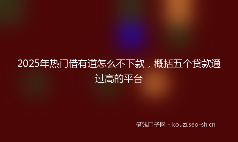 2025年热门借有道怎么不下款，概括五个贷款通过高的平台