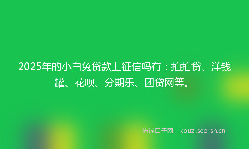 2025年的小白兔贷款上征信吗有：拍拍贷、洋钱罐、花呗、分期乐、团贷网等。