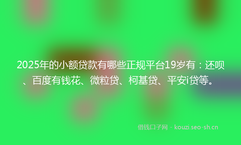 2025年的小额贷款有哪些正规平台19岁有：还呗、百度有钱花、微粒贷、柯基贷、平安i贷等。