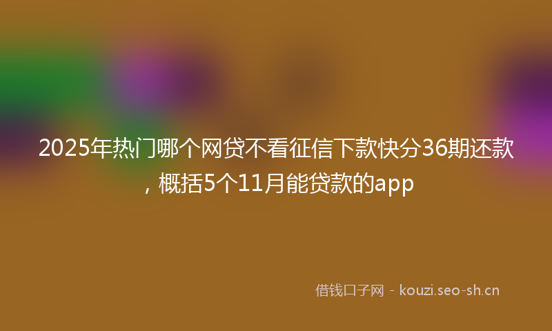 2025年热门哪个网贷不看征信下款快分36期还款，概括5个11月能贷款的app