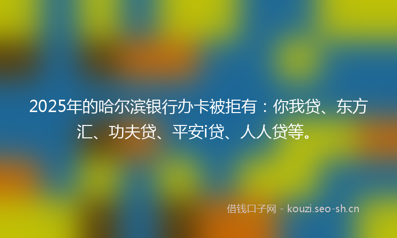 2025年的哈尔滨银行办卡被拒有：你我贷、东方汇、功夫贷、平安i贷、人人贷等。
