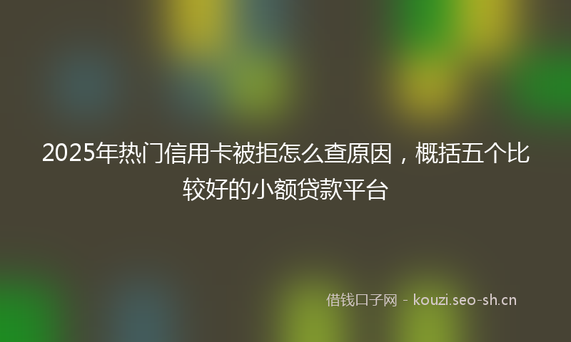 2025年热门信用卡被拒怎么查原因，概括五个比较好的小额贷款平台