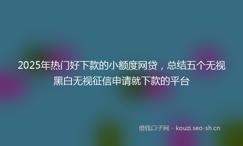 2025年热门好下款的小额度网贷，总结五个无视黑白无视征信申请就下款的平台
