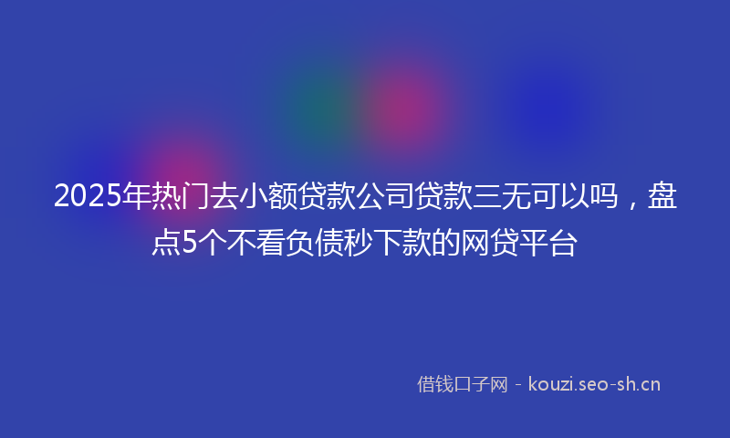 2025年热门去小额贷款公司贷款三无可以吗，盘点5个不看负债秒下款的网贷平台