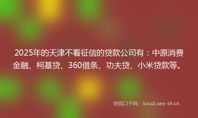 2025年的天津不看征信的贷款公司有：中原消费金融、柯基贷、360借条、功夫贷、小米贷款等。