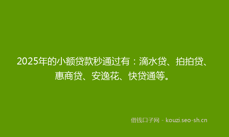 2025年的小额贷款秒通过有：滴水贷、拍拍贷、惠商贷、安逸花、快贷通等。