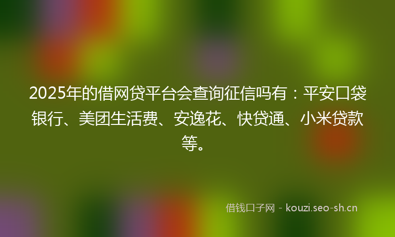 2025年的借网贷平台会查询征信吗有：平安口袋银行、美团生活费、安逸花、快贷通、小米贷款等。