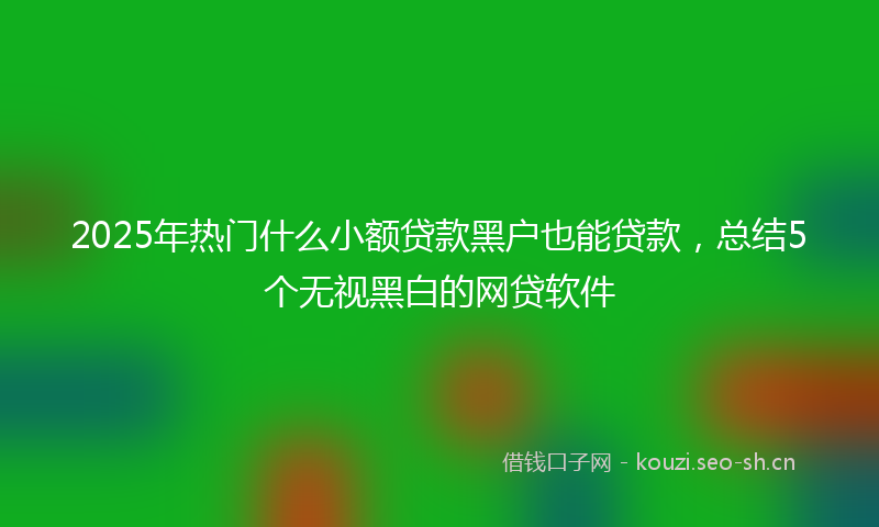 2025年热门什么小额贷款黑户也能贷款，总结5个无视黑白的网贷软件