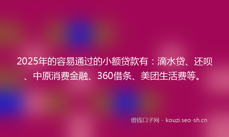 2025年的容易通过的小额贷款有：滴水贷、还呗、中原消费金融、360借条、美团生活费等。