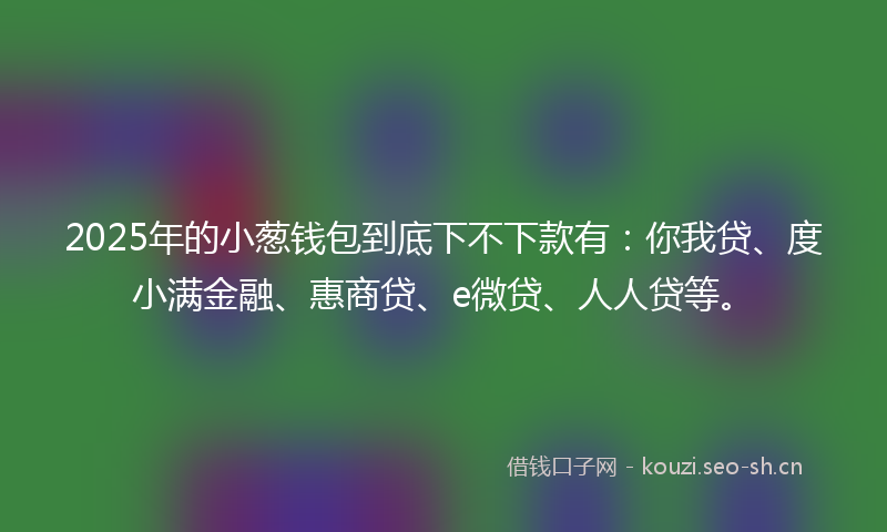 2025年的小葱钱包到底下不下款有：你我贷、度小满金融、惠商贷、e微贷、人人贷等。
